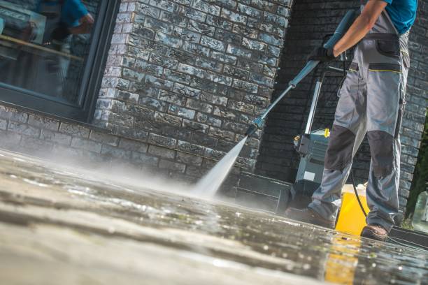 Best House Exterior Washing  in Pahokee, FL